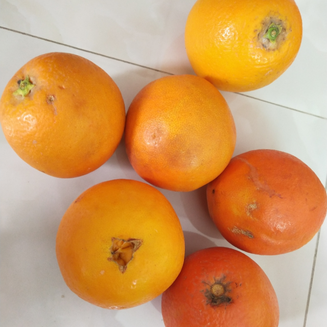 苗家十八洞 重庆奉节脐橙 2.