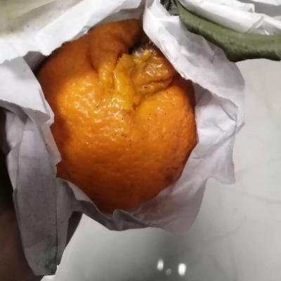 四川不知火丑柑丑橘带箱5斤 2件合并1箱带箱约9.