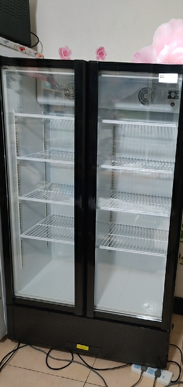 双门无灯箱展示柜立式冷柜陈列柜饮料展示柜商用全冷藏超市冰箱水果