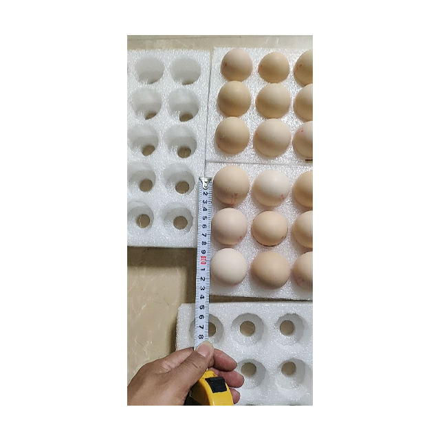 圣迪乐村鲜本味德国罗曼白羽鲜鸡蛋30枚顺丰快递