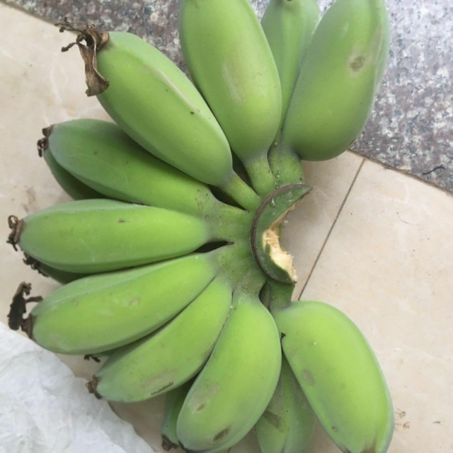5斤带箱 新鲜当季水果小芭蕉香蕉 (2件合并一箱发货)