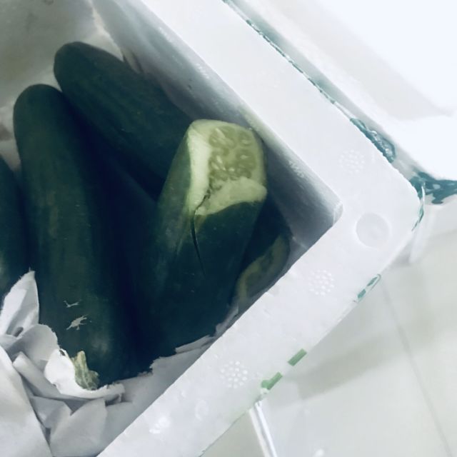 山东水果黄瓜5斤装现摘现发坏果包赔