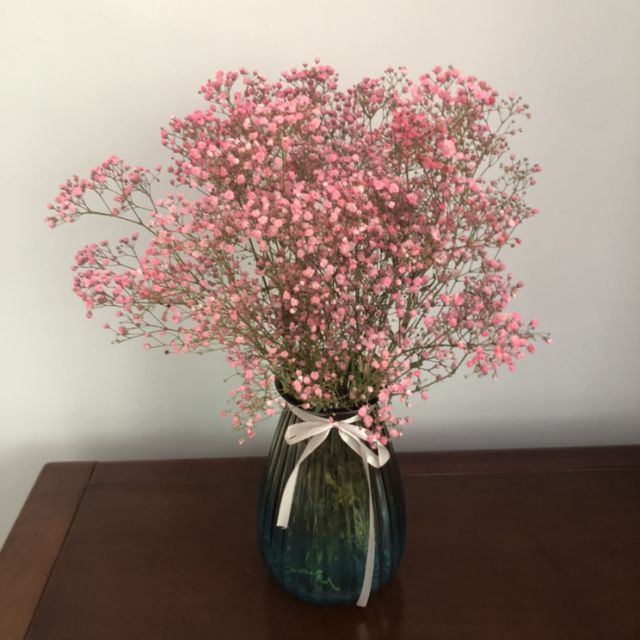 满天星干花束客厅摆设插花小清新装饰花粉色满天星一束