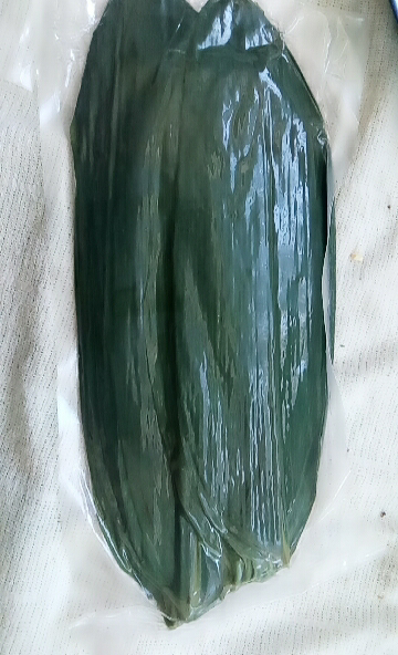 精选新鲜野生粽叶端午节粽子叶箬叶非芦苇叶50片 真空包装 送棉绳晒单