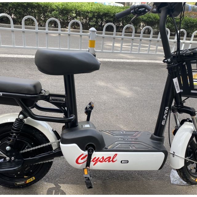 新日新国标电动车小果酱48v12ah铅酸