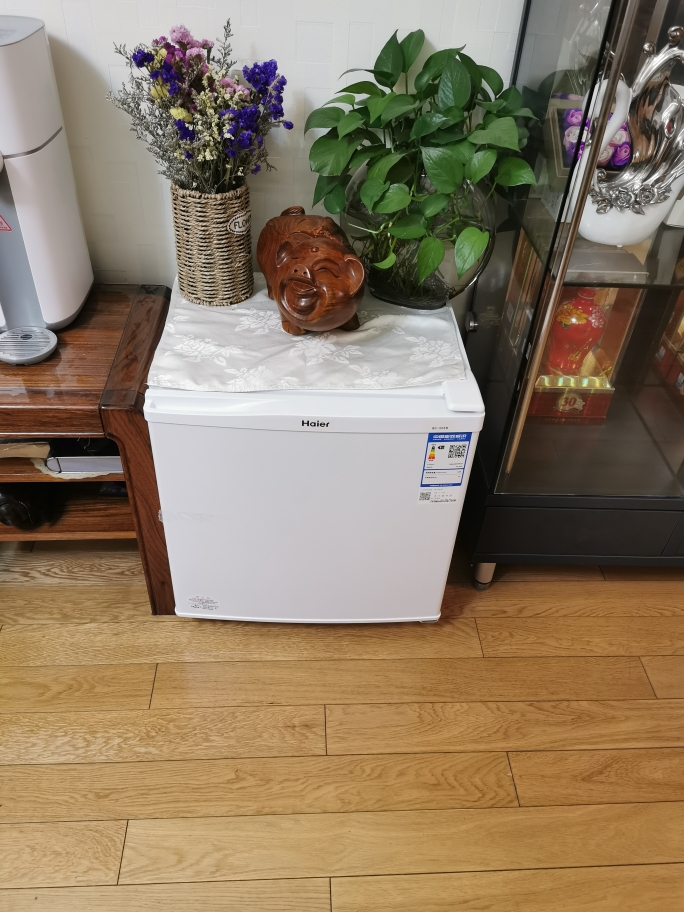 海尔(haier)bc-50en 迷你直冷冰箱小型 单门大容量50升经济型节能家用
