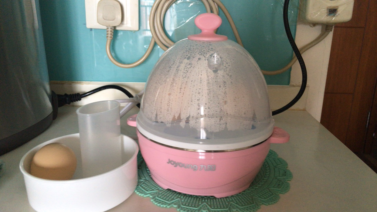 joyoung/九阳 zd-5w05蒸蛋器自动断电煮蛋机迷你家用多功能煮蛋器晒单