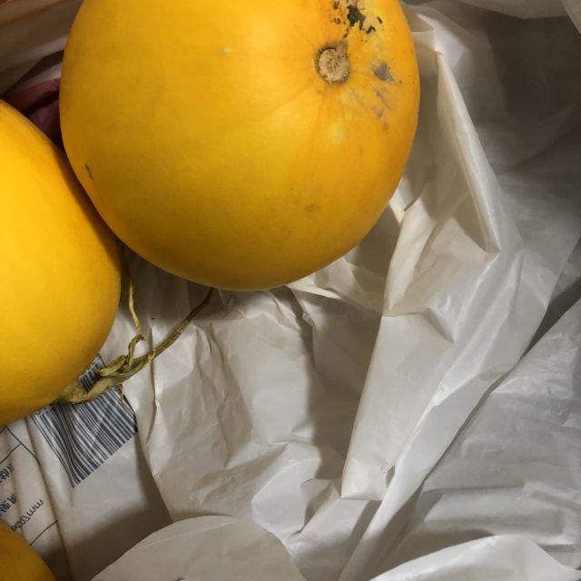 甘肃民勤蜜瓜5斤装黄金蜜瓜黄河蜜瓜新鲜水果