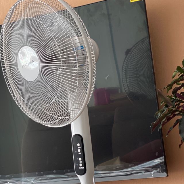 松桥(mazuba)电风扇fs40-y12j 五叶遥控家用床头定时台地扇 节能立式