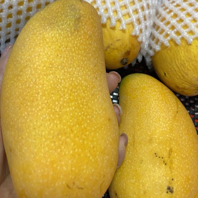 > st大金龙芒果商品评价 > 好