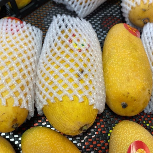 > st大金龙芒果商品评价 > 好