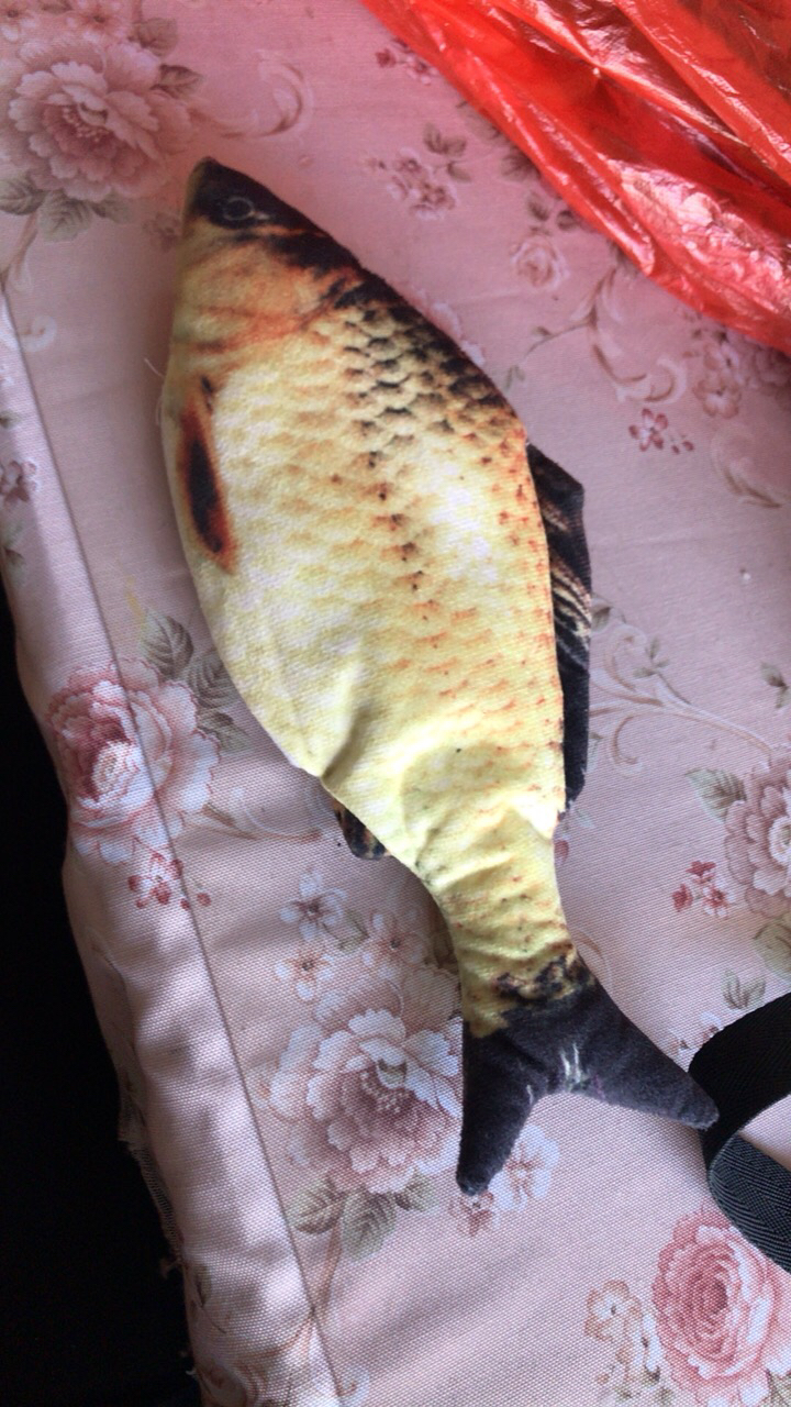 鸱吻抖音网红电动鱼游泳鱼猫咪的神器过家家同款新品娃娃红鱼摇摆鱼