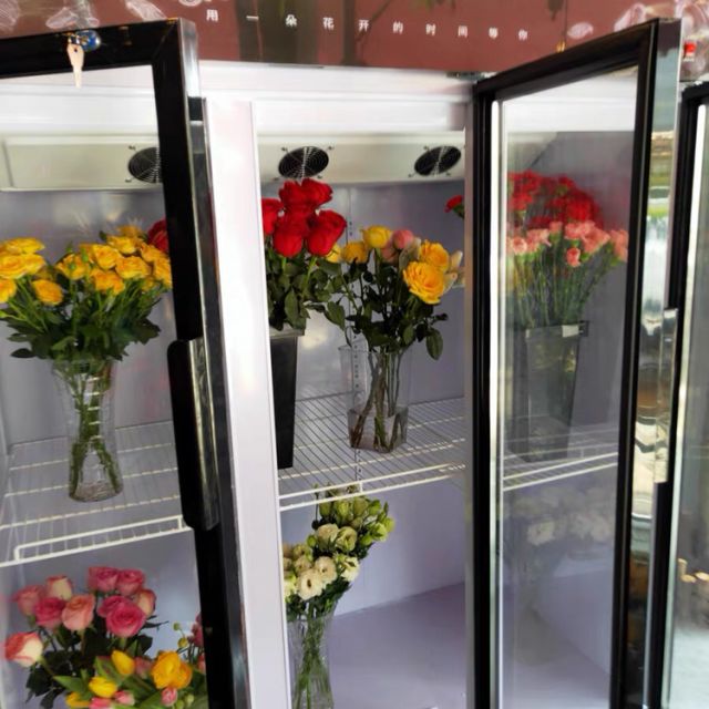致烈devole鲜花保鲜柜保鲜柜商用风冷鲜花保鲜柜花店冷藏柜冰柜双门三