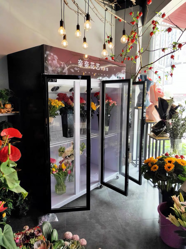 花店冷藏柜冰柜双门三门立式风冷展示柜 鲜花植物柜陈列柜鲜花柜晒单