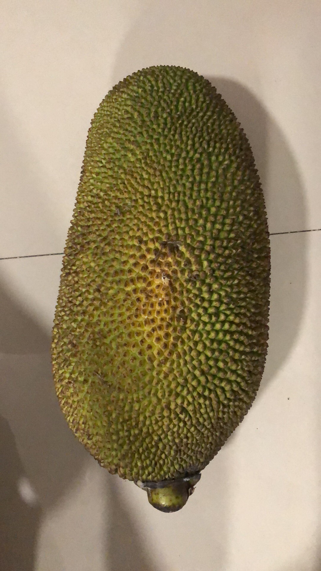 【顺丰直发】海南菠萝蜜 1个 27-31斤 黄肉菠萝蜜 新鲜水果 生鲜水果