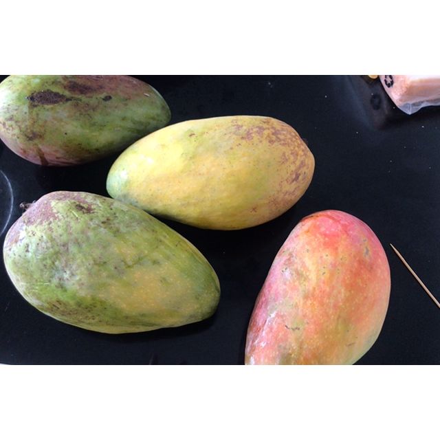 > 贵妃芒海南芒果小金龙芒果新鲜水果当季整箱非小台芒大青芒玉芒商品