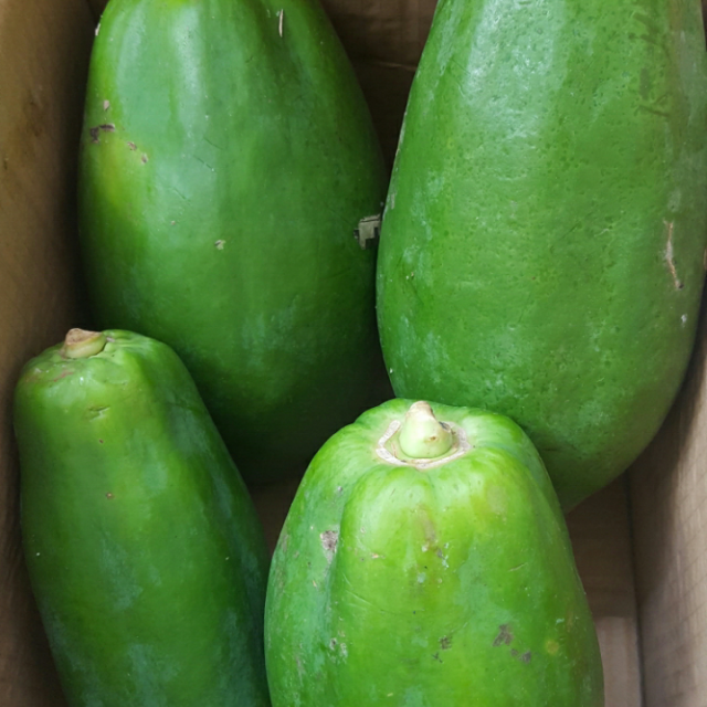 广西青木瓜4斤 新鲜水果生木瓜孕妇酸木瓜蔬菜整箱 无 无热带水果类性