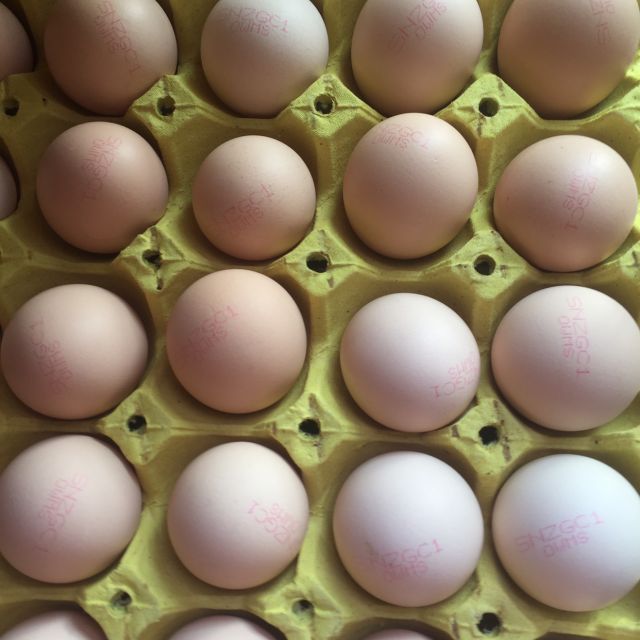 > 五丰鲜鸡蛋30枚/托商品评价 > 多次回购,口感好,苏.