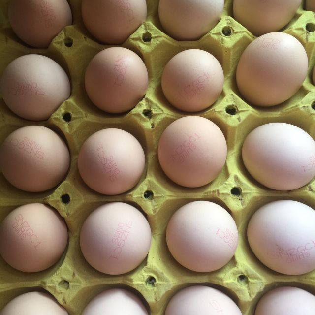 > 五丰鲜鸡蛋30枚/托商品评价 > 多次回购,口感好,苏.