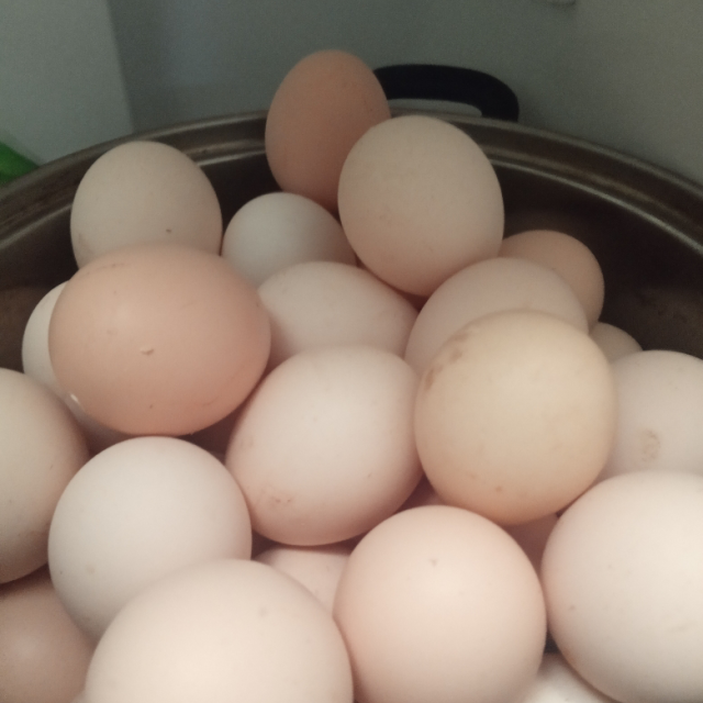 新鲜鸡蛋40枚装农林散养新鲜笨鸡蛋菜鸡蛋单个约45g左右蛋类破损包赔