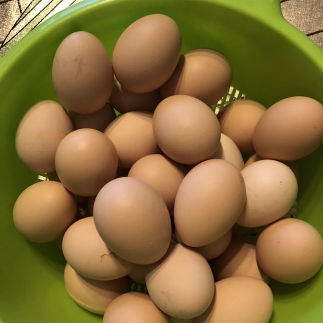 > 新鲜鸡蛋40枚装农林散养新鲜笨鸡蛋菜鸡蛋单个约45g左右蛋类破损
