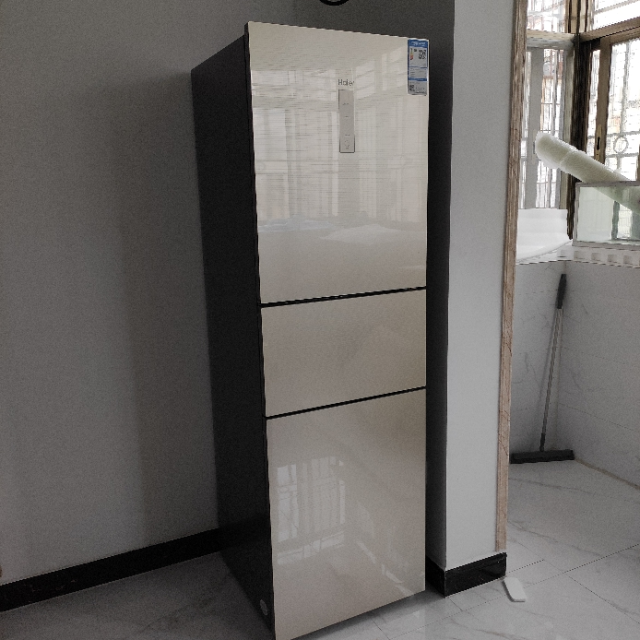 风冷无霜一级变频冰箱电脑控温 干湿分储 宽幅变温电冰箱 bcd-225wdgk