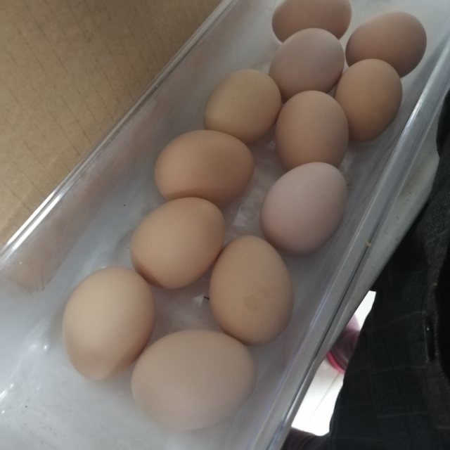 新鲜土鸡蛋40枚装正宗农家散养笨鸡蛋柴鸡蛋草鸡蛋非鹌鹑蛋鸭蛋鹅蛋