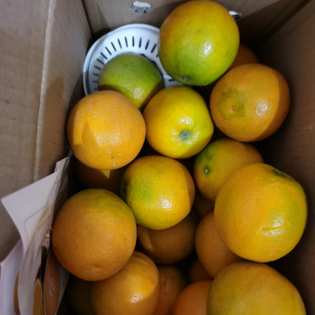 > 誉福园湖北夏橙50-65小果 50-60mm 湖北榨汁夏橙5斤装商品评价 >