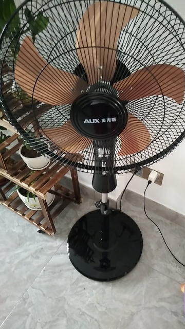 奥克斯(aux)电风扇家用床头定时落地扇 节能立式办公室风扇 fs1603铝