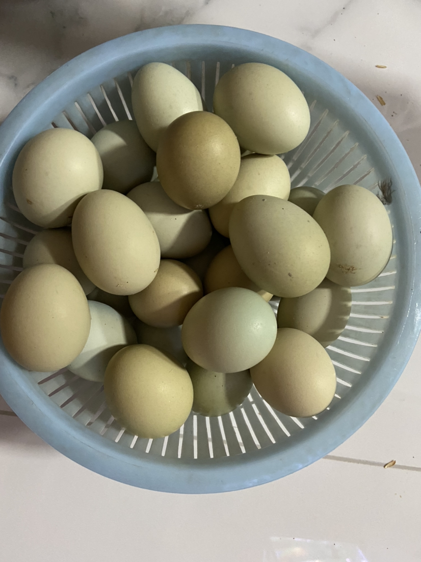 我们为您提供绿壳乌鸡蛋的优质评价,包括绿壳乌鸡蛋商品评价,晒单