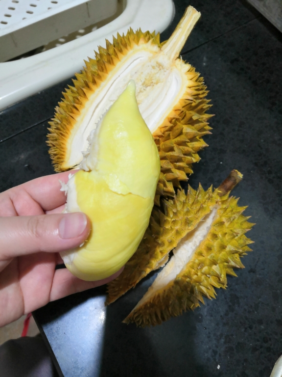 泰国金枕头榴莲2-3斤 保三房 榴莲看着虽小 出肉率不错 介意者请拍