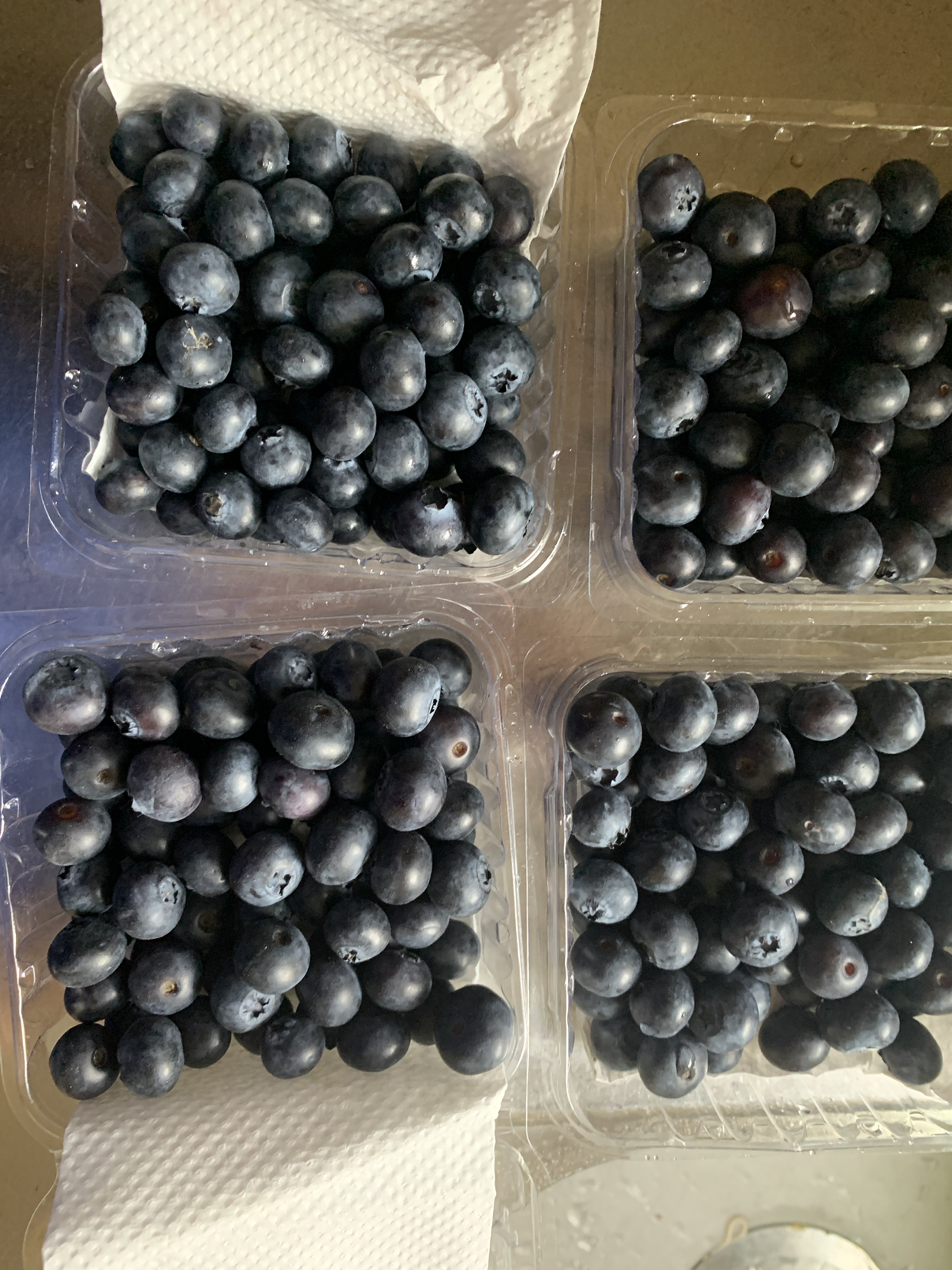 我们为您提供新鲜蓝莓的的优质评价,包括新鲜蓝莓的商品评价,晒单