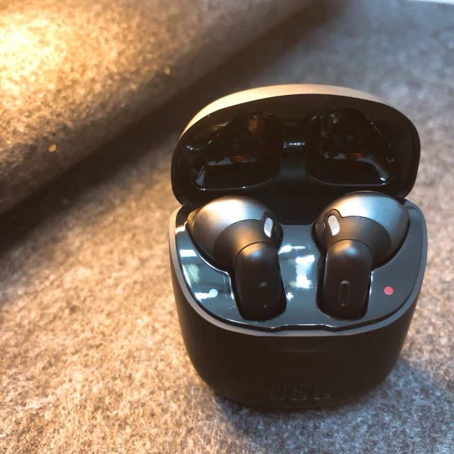 > jbl tune220tws 黑 黑色商品评价 > 佩戴很舒适,也不会掉.