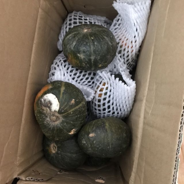 健康优选贝贝南瓜板栗味南瓜老南瓜正品新鲜农家蔬菜小南瓜1斤