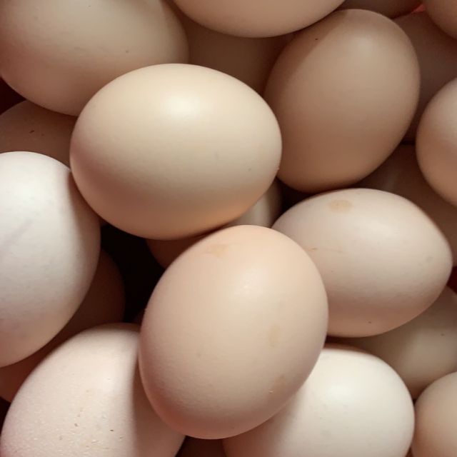 > 【北京吉林可发】橘园新鲜鸡蛋 月子蛋30枚/40枚