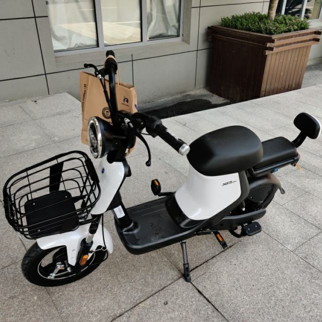 新日电动车 新国标xc1电动自行车 轻便时尚 博世电机 锂电池 成人电瓶