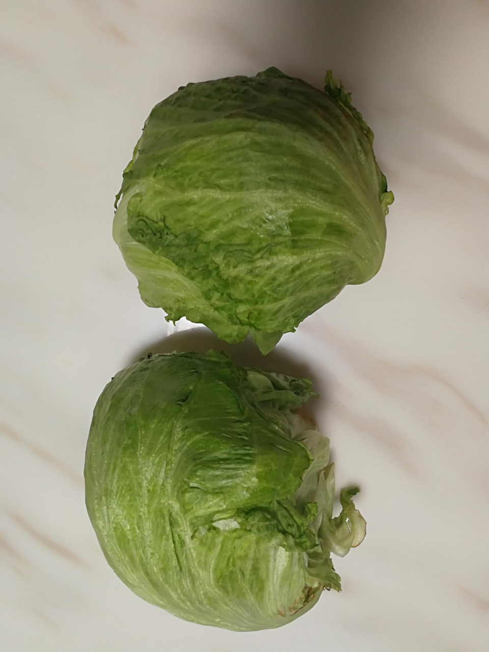 生菜 新鲜球生菜 新鲜蔬菜汉堡生菜西生菜球形圆生菜 5斤装晒单图