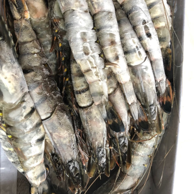 海洋世家越南活冻黑虎虾净重400g1220只盒肉质饱满大虾鲜嫩