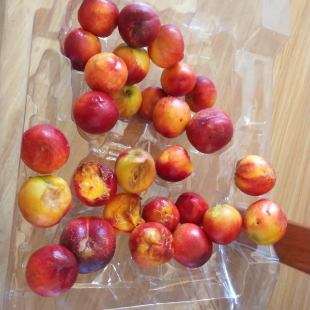 > 油桃新鲜水果现摘现发带箱五斤当季油桃孕妇水果脆甜多汁商品评价 >