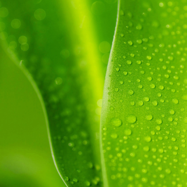 > 乐可爱婴儿手口柔湿巾10片*10包商品评价 > 东西不错,价格优惠,.