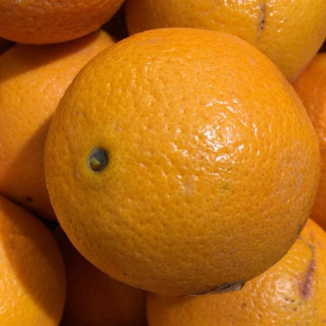 陈小四水果新鲜秭归夏橙25斤玲珑果小果单果约5060mm榨汁橙新鲜水果