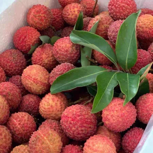 中华特色从化馆精品荔枝糯米糍3斤5斤10斤箱装冷链空运果大肉厚多汁