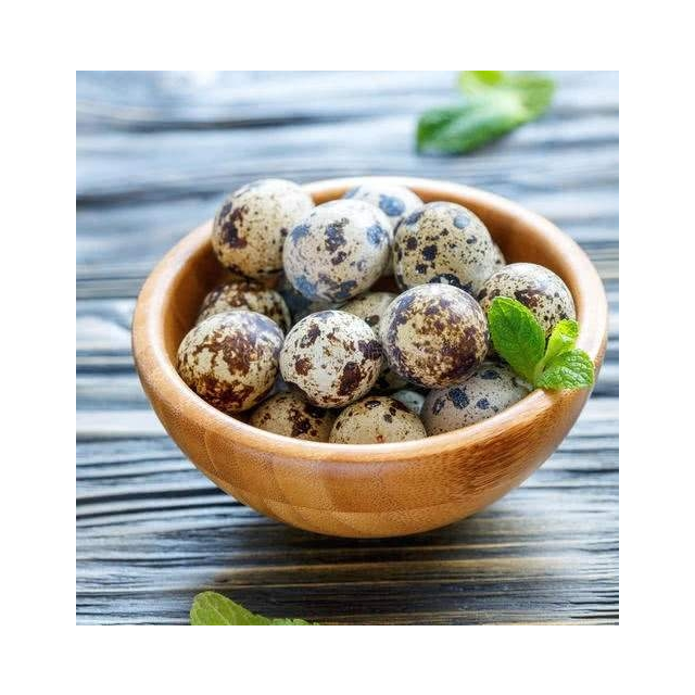 新鲜生鹌鹑蛋50枚正宗农家散养宝宝辅食孕妇营养非鸡蛋鹅蛋鸽子蛋鸭蛋