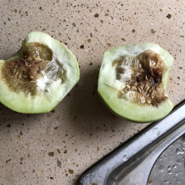 云图严选马连庄甜瓜青岛莱西蜜宝王鲜甜脆爽4粒装2件起拍拍两份升级9