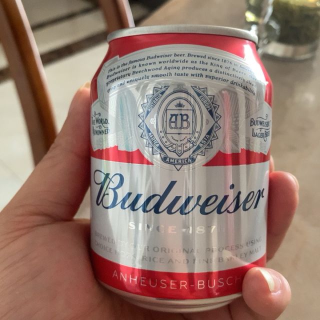 百威budweiser啤酒迷你啤酒255ml24听小罐整箱装新品苏宁自营