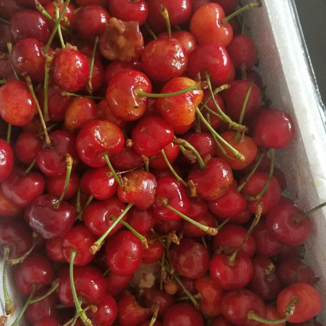 > 【顺丰直达】山东大樱桃 5斤精选大果 24-28mm 新鲜水果 青孖集商品