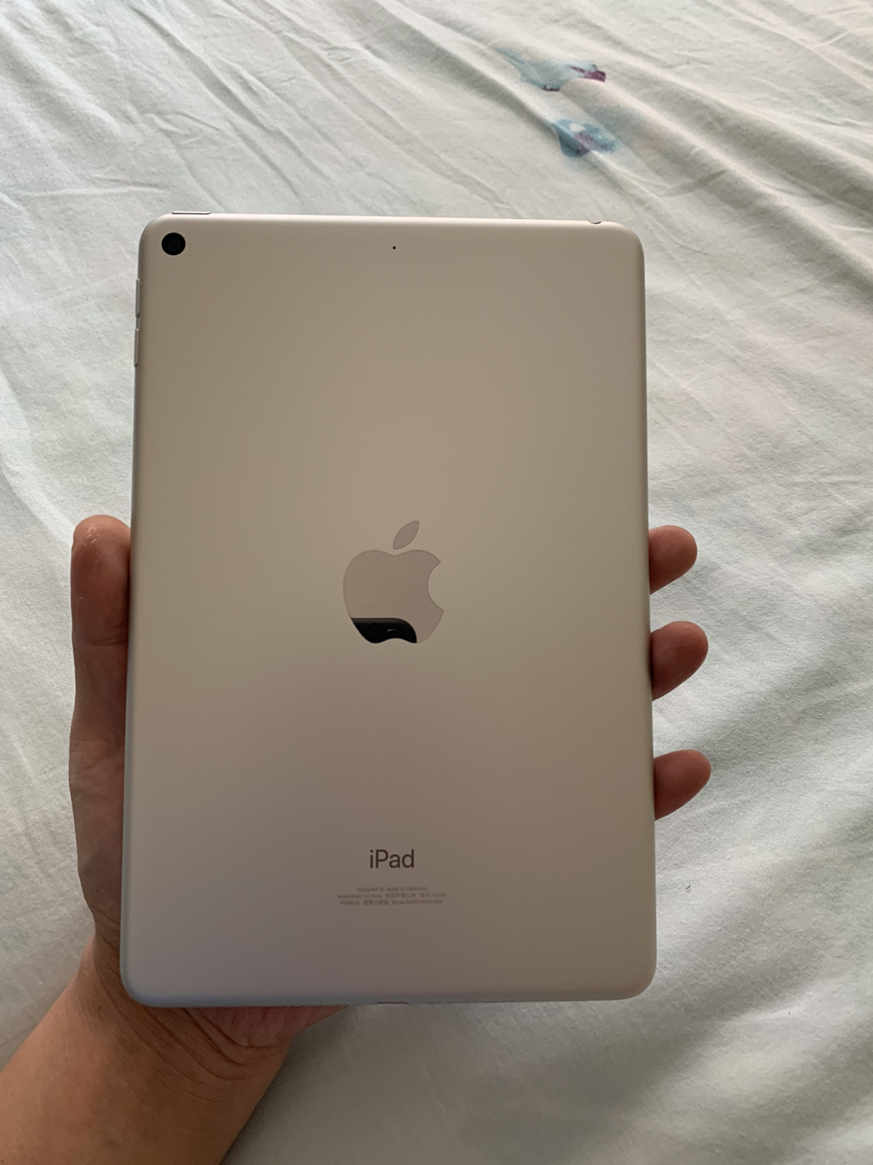 apple ipad mini