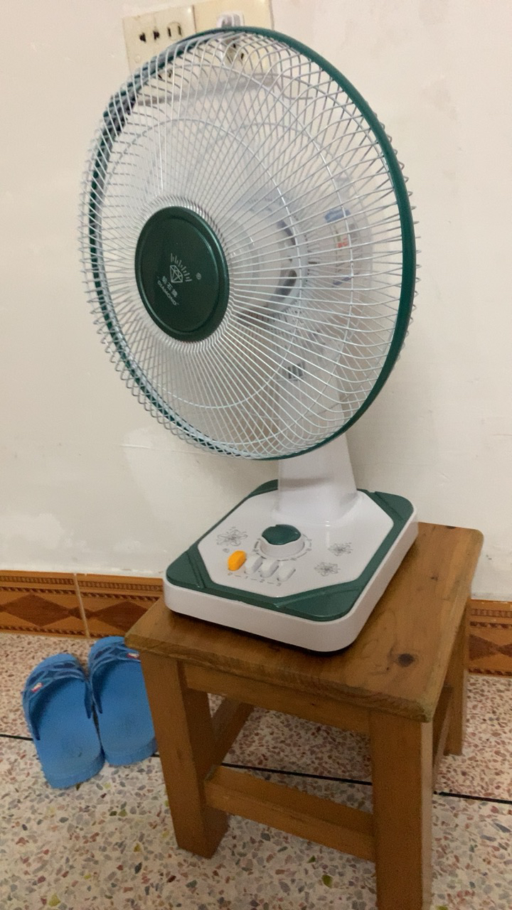 钻石牌电风扇 12寸摇头台式家用静音台扇办公室学生晒单图