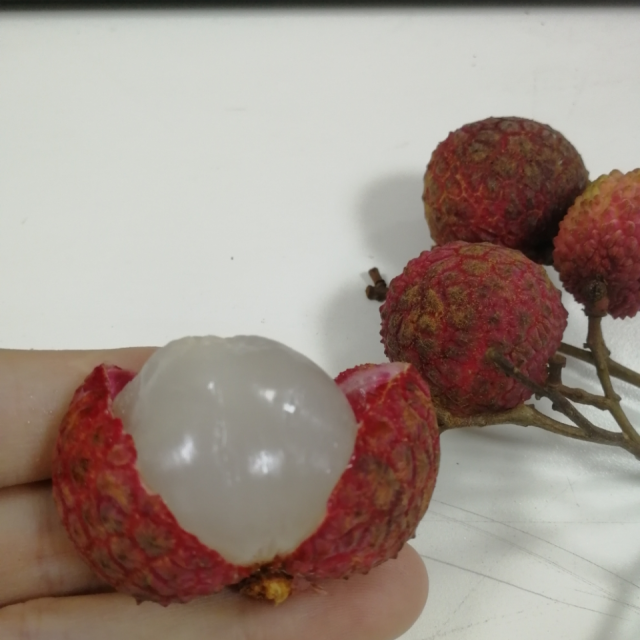 从化双壳槐枝尚书怀荔枝3斤广东省内邮