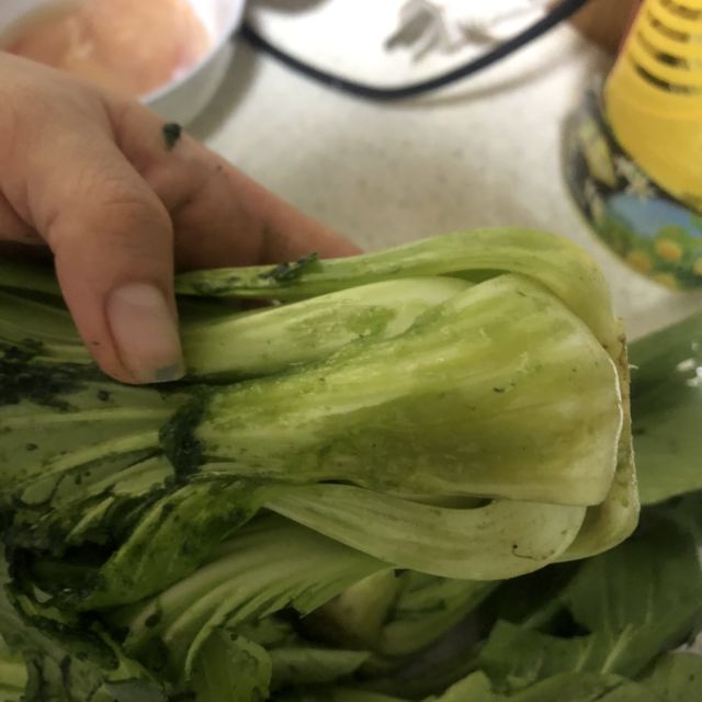 油菜1包(约500g)商品评价 这个不成,每一颗都烂.